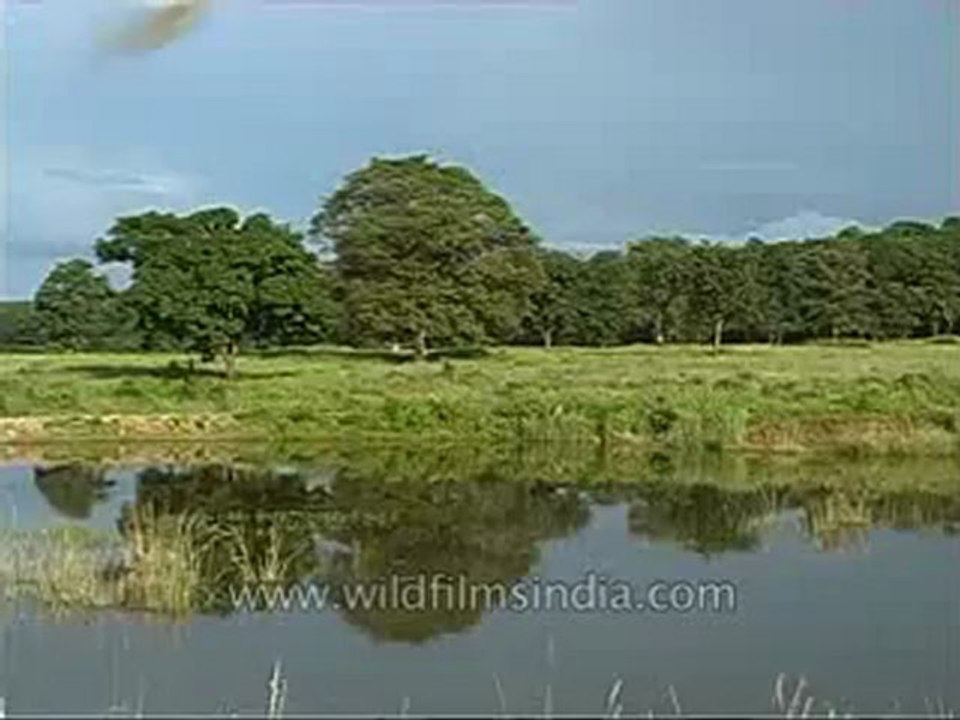 Kanha-mdv-568-4.flv
