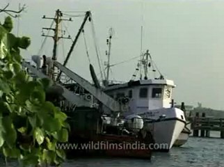 Kerala-Roads-2.flv