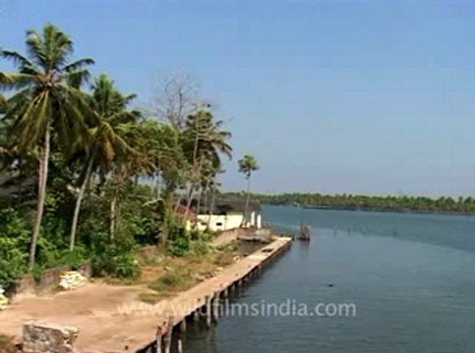Kerala-backwater-12.flv