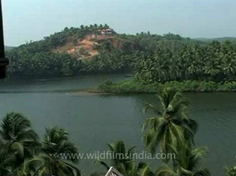Kerala-backwaters-2.flv