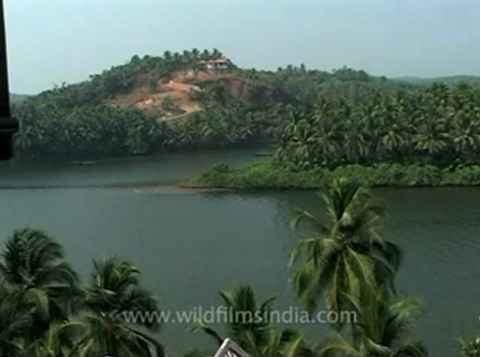 Kerala-backwaters-2.flv