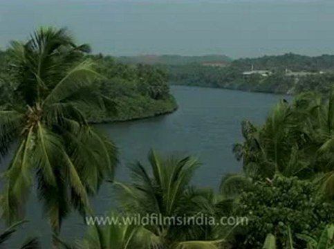 Kerala-backwaters-3.flv