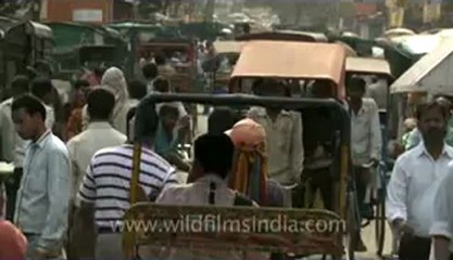 Khari Baoli Market-7.flv