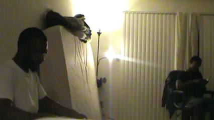 Pt.5 Open Forum (2012 recap)