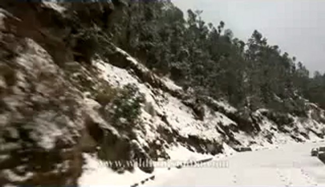 Landour-1.flv
