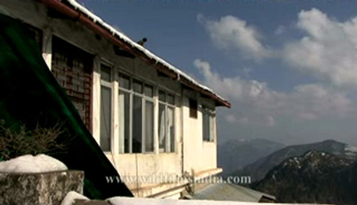 Landour-3.flv