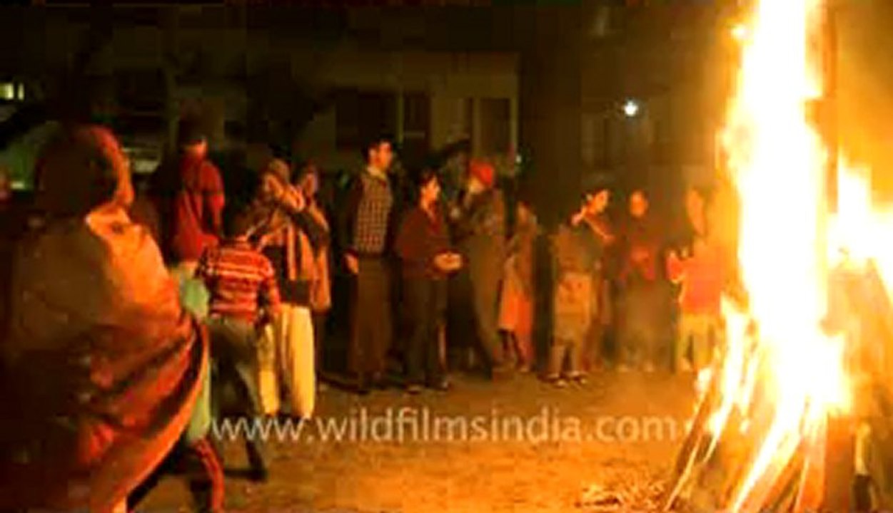 Lohri-1.flv