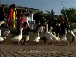 Madhyapradesh-Bhopal-1.flv