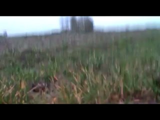 petit vol au milieu des champs avec activation du RTH