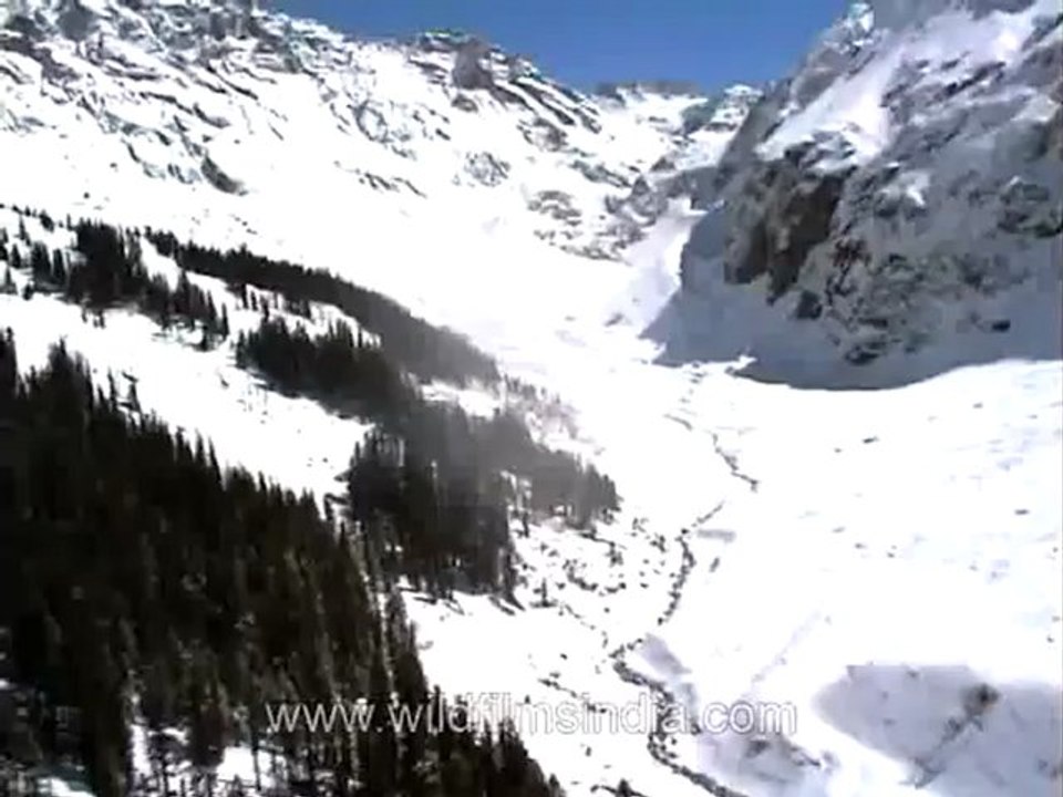 Malana nala-mdv-168-4.flv