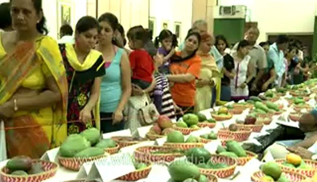 Mango festival-dilli haat-pitampura-3.flv