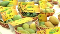 Mango festival-dilli haat-pitampura-2.flv