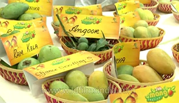 Mango festival-dilli haat-pitampura-2.flv