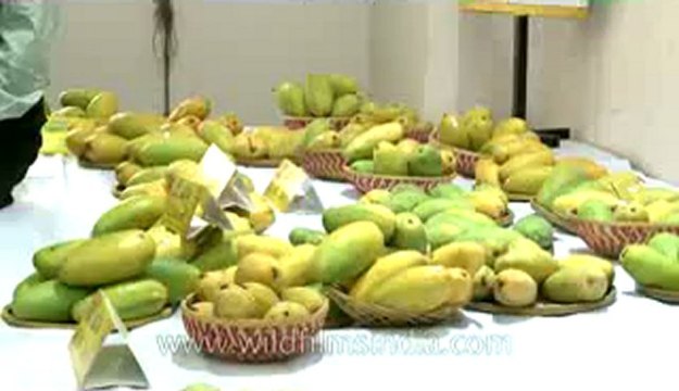 Mango festival-dilli haat-pitampura-6.flv