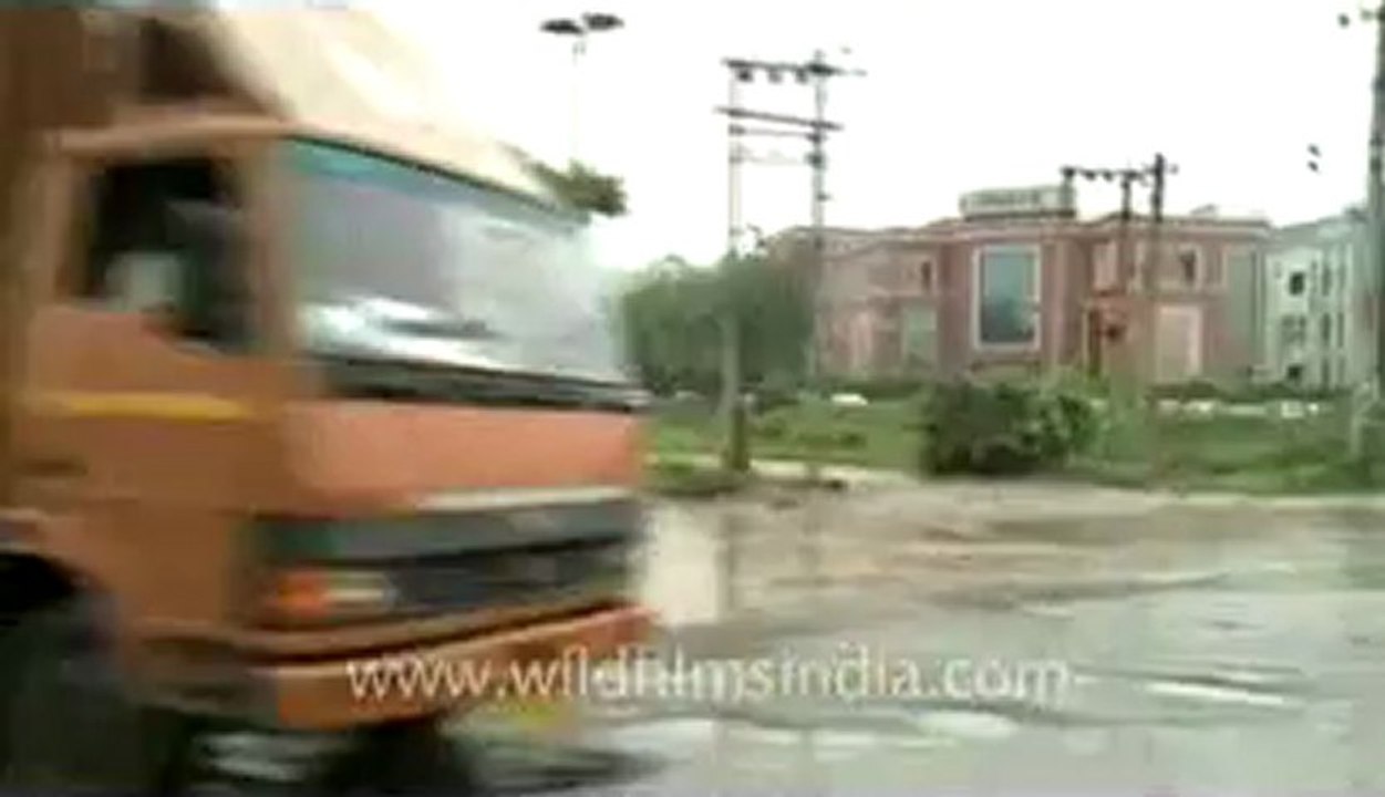 Maruti-1.flv