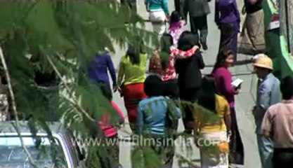Mizoram-KV-fx-1-hdv-7-16.flv