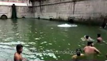 Nizamuddin baoli-2.flv