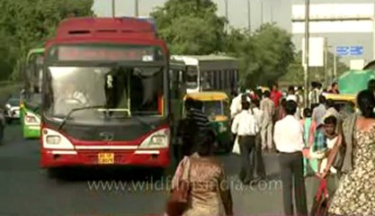 People-Safdarjung bus stop-12.flv
