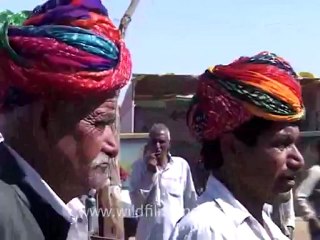 Pushkar_10.flv