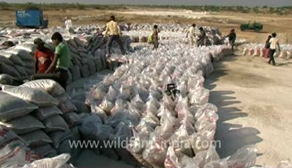 Rann-of-kutch-hdv-tape-12-Packing of salt-3.flv