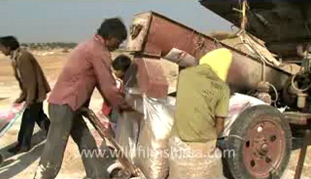 Rann-of-kutch-hdv-tape-12-Packing of salt-5.flv