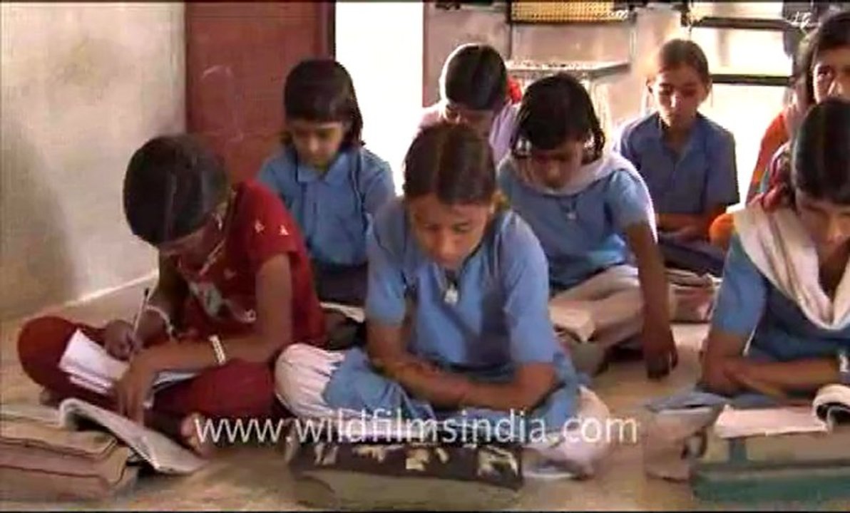 Rajasthan_135.flv