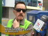 Lambayeque Alcalde de Chiclayo niega haber ordenado corte de arboles en paseo Las Musas