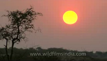 Rann-of-kutch-hdv-tape-2-sunset.flv