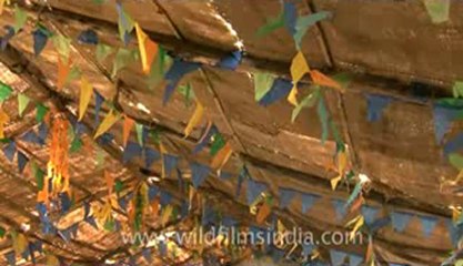 Rann-of-kutch-hdv-tape-4-Desert school-1.flv