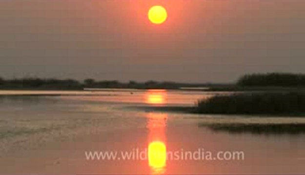 Rann-of-kutch-hdv-tape-5-Sunset-1.flv