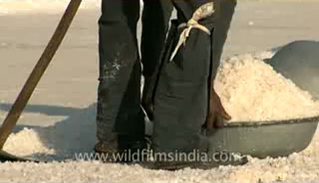 Rann-of-kutch-hdv-tape-5-salt workers-1.flv