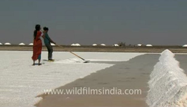 Rann-of-kutch-hdv-tape-7-crystallization of salt-4.flv