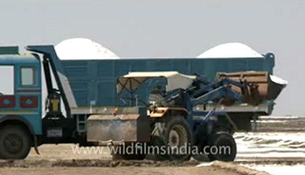Rann-of-kutch-hdv-tape-7-loading of salt-1.flv