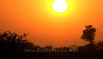 Rann-of-kutch-hdv-tape-9-Sunset-1.flv