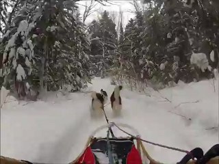 Sled at Riviere des Sept Ponts