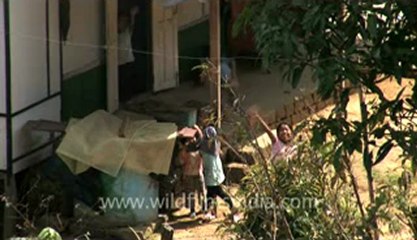 Rhiek-KV-fx-1-hdv-5-1.flv