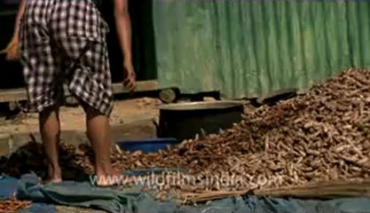 Rhiek-KV-fx-1-hdv-5-10.flv