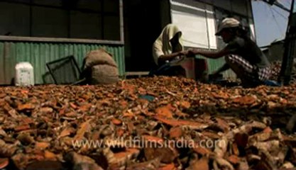 Rhiek-KV-fx-1-hdv-5-9.flv