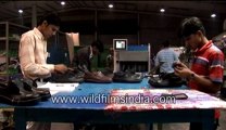 Shoes factory-MPEG-4 800Kbps.mp4