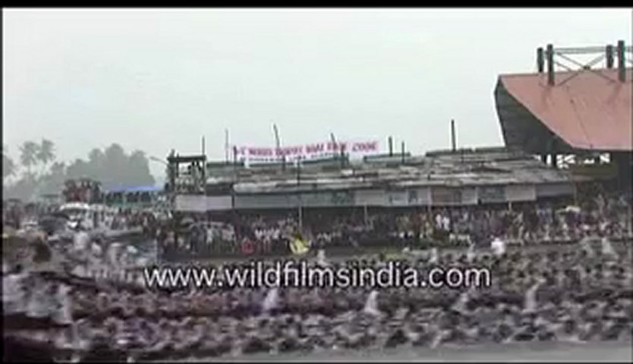 Snake Boat Race