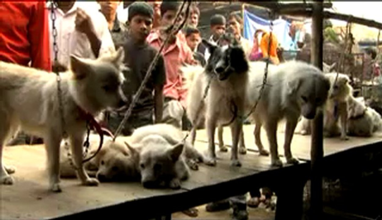 Sonepur_8.flv