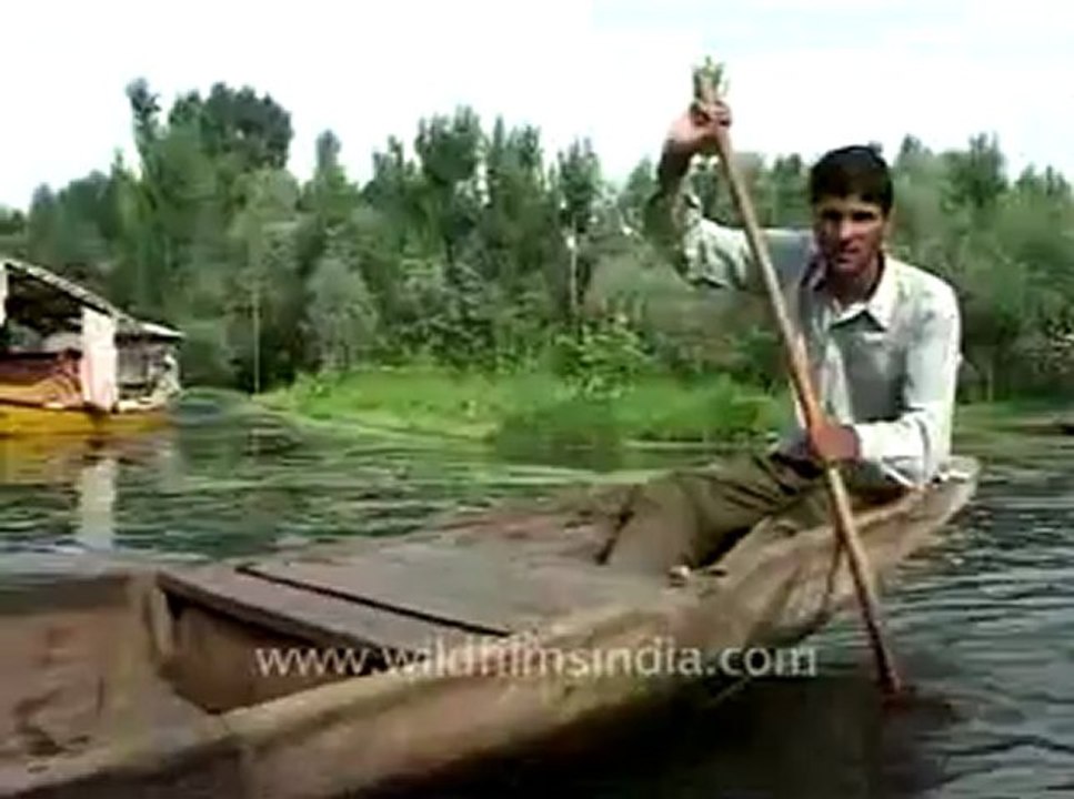 Srinagar-dallake-3.flv