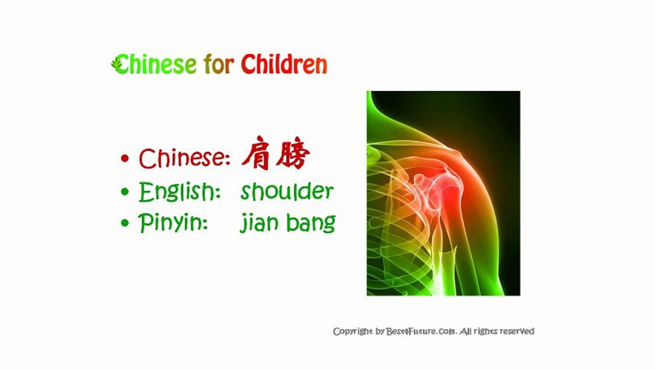 How to say shoulder, arm, elbow and hand in Chinese?