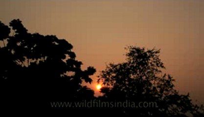 Thailand-time lapse-1.flv