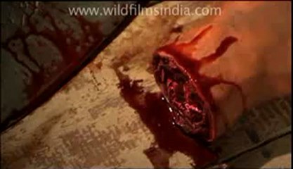 We're no monks-12.flv