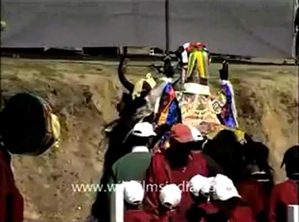 Yak rotating its loose head around many times.flv