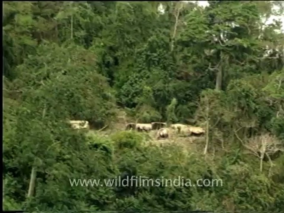 andamans&nicobar-7-23.mov