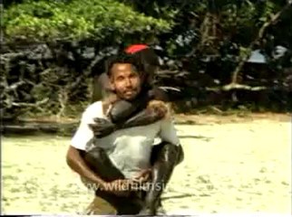 andamans&nicobar-7-6.flv