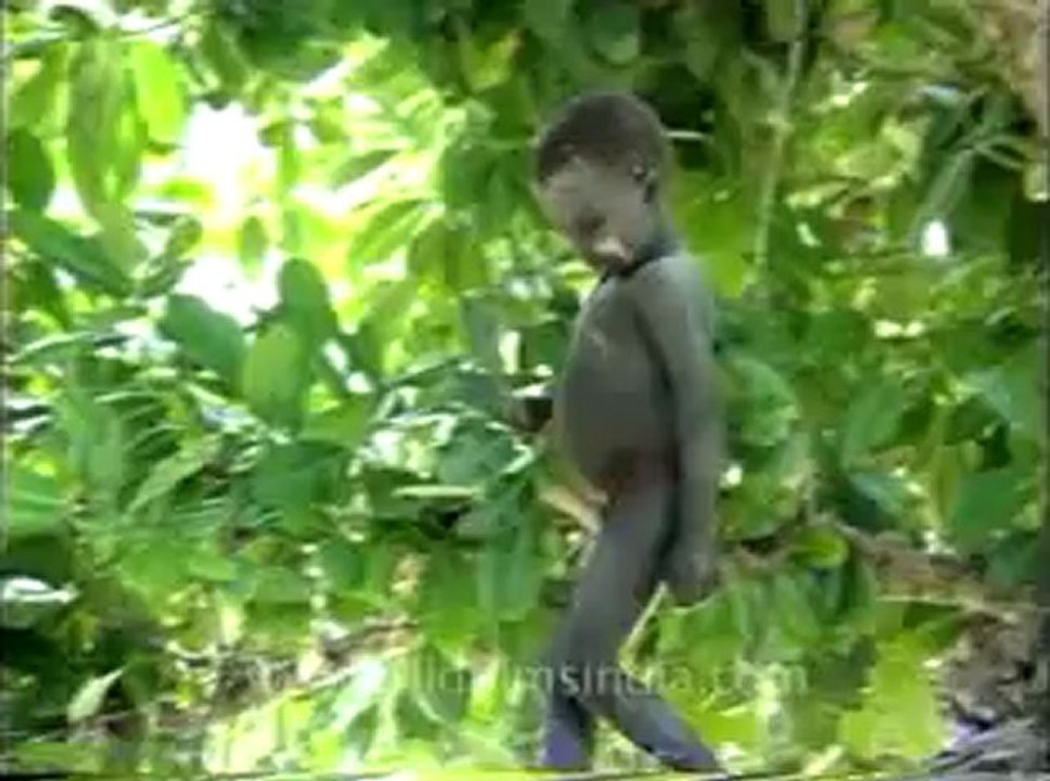 andamans&nicobar_3-4.flv