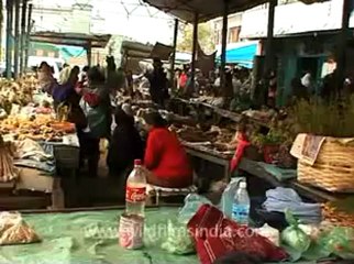 animal slaughter-17.flv